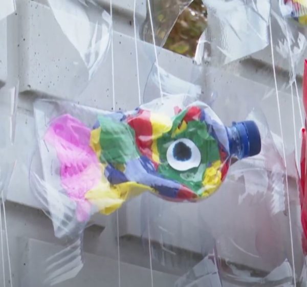 Fenntarthatósági témahét a Mese Óvodában (2022. 46. hét)