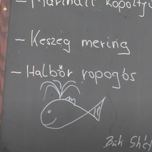 Halászléfőző verseny 2023. (2023. 42. hét)