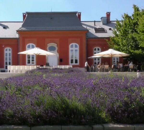 I. Hagyományok Napja a Laffert Kúriában - rövid (2024. 28. hét)